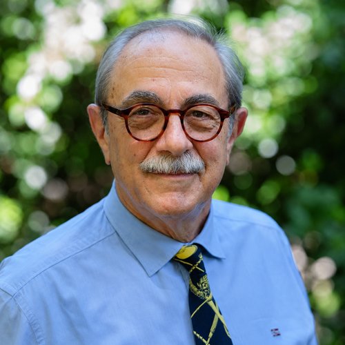 Fausto Torelli