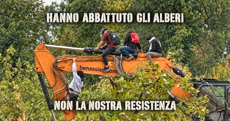 Bosco Ospizio: la fretta di abbattere